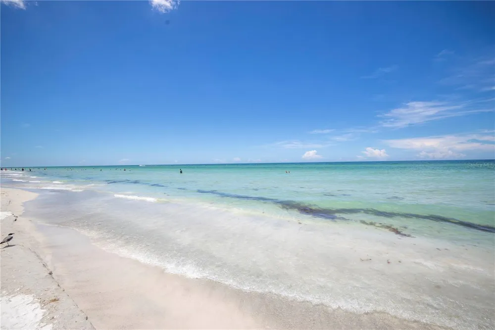 19505 GULF BOULEVARD #304 Indian Shores, FL 33785