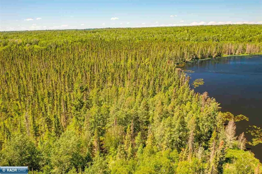 95150 Bystrom Bay Tower, MN 55790