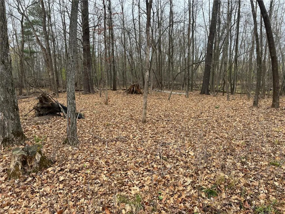000 Maple Knoll Rd Pine City, MN 55063
