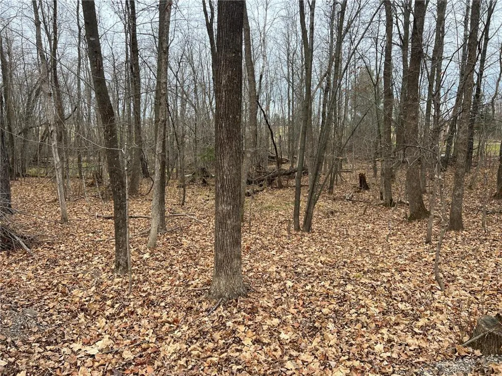 000 Maple Knoll Rd Pine City, MN 55063