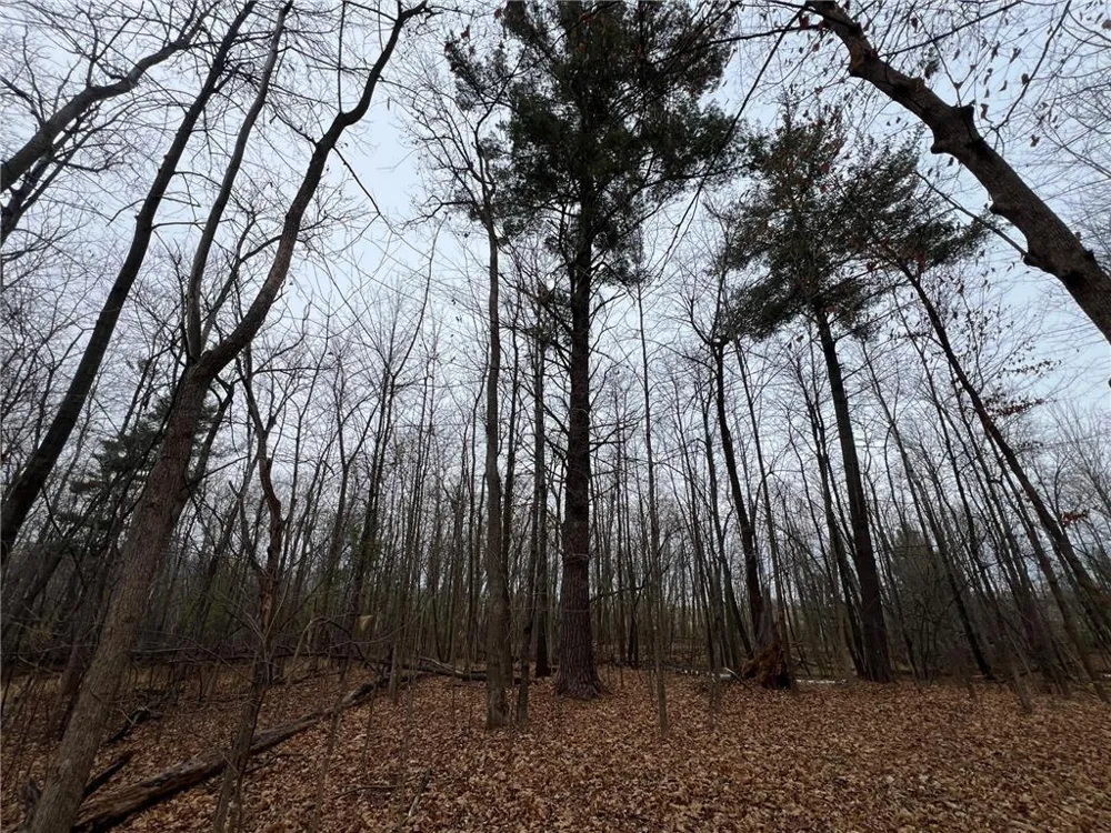 000 Maple Knoll Rd Pine City, MN 55063