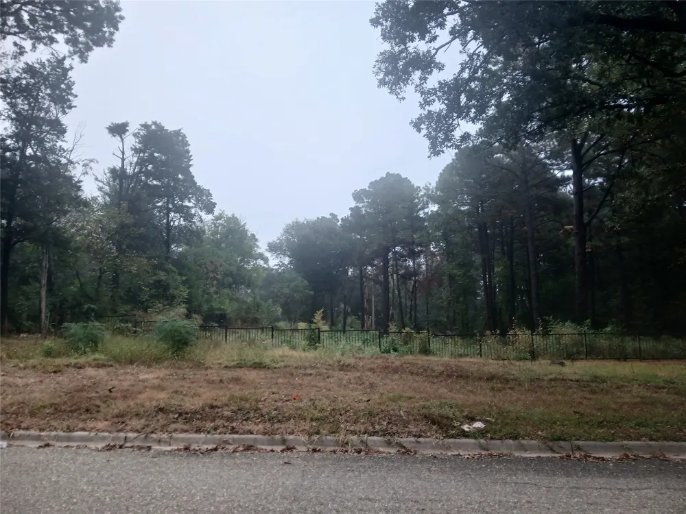 Mill Run Road Athens, TX 75751