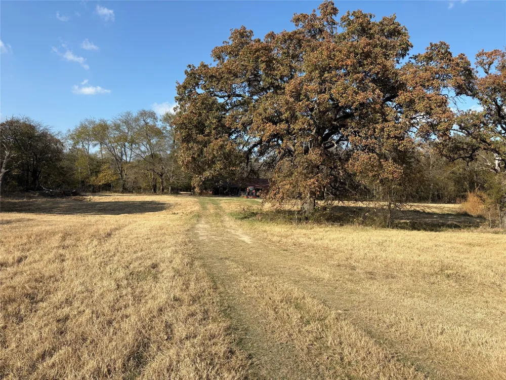 1207 State Highway 24 Campbell, TX 75422