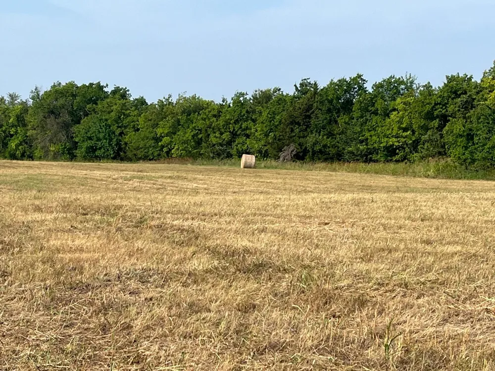 17560 E Fm 1396 Windom, TX 75492