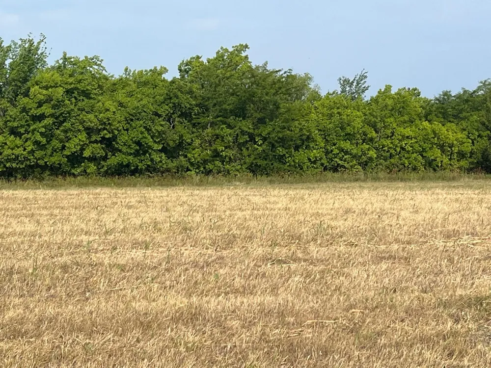 17560 E Fm 1396 Windom, TX 75492