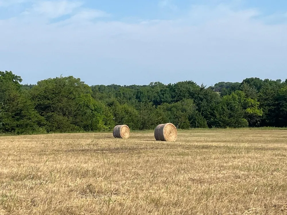 17560 E Fm 1396 Windom, TX 75492