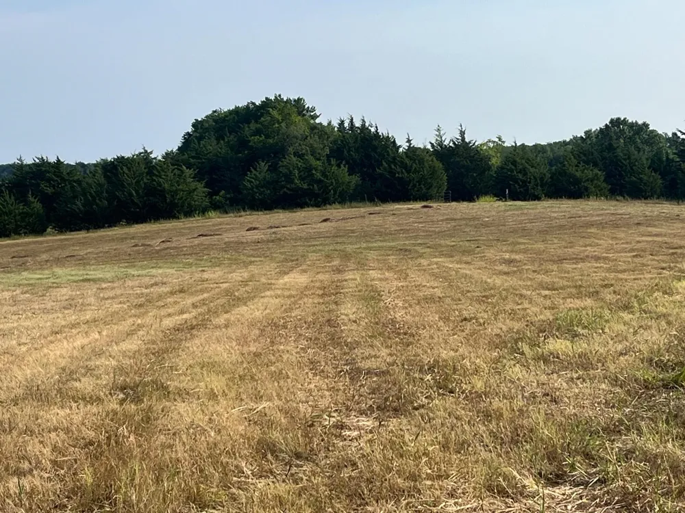 17560 E Fm 1396 Windom, TX 75492