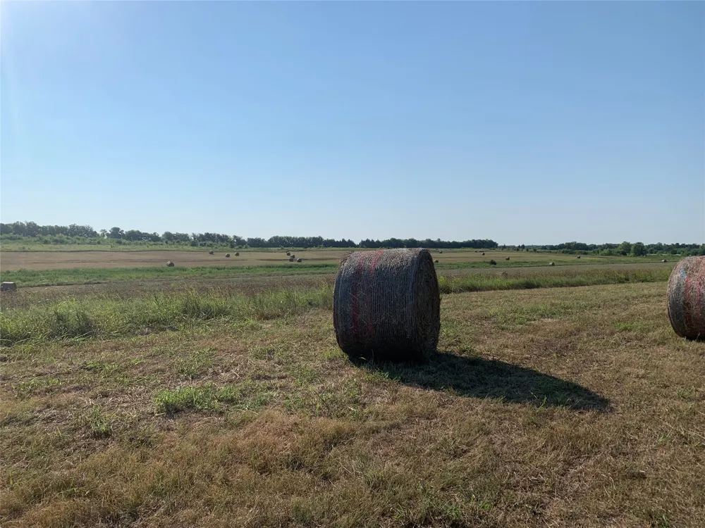 17560 E Fm 1396 Windom, TX 75492