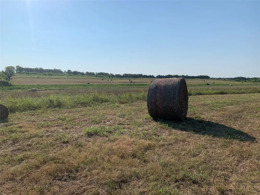 17560 E Fm 1396 Windom, TX 75492