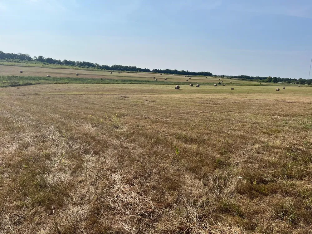 17560 E Fm 1396 Windom, TX 75492