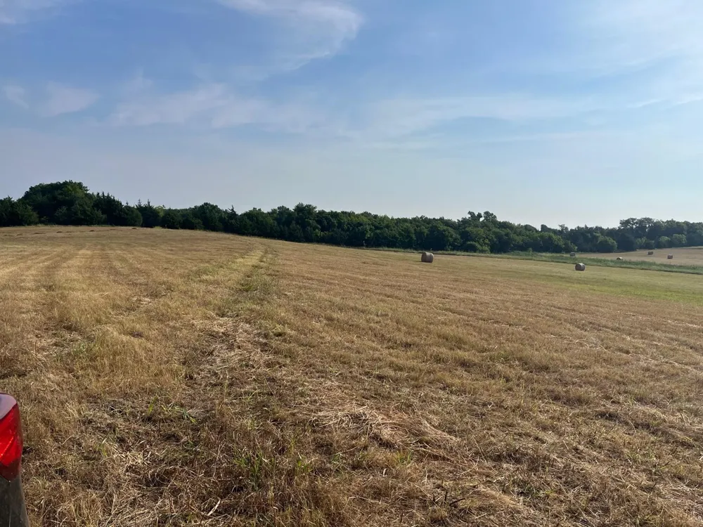 17560 E Fm 1396 Windom, TX 75492