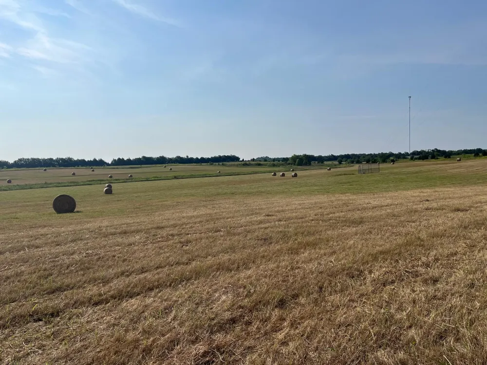 17560 E Fm 1396 Windom, TX 75492