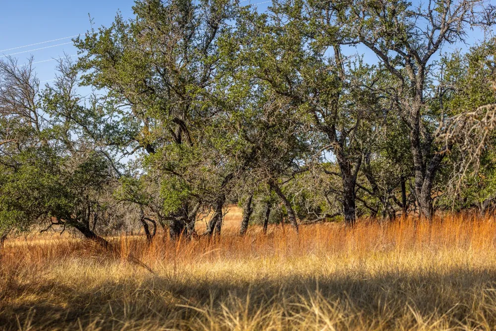 1260 County Road 2001 Lampasas, TX 76550