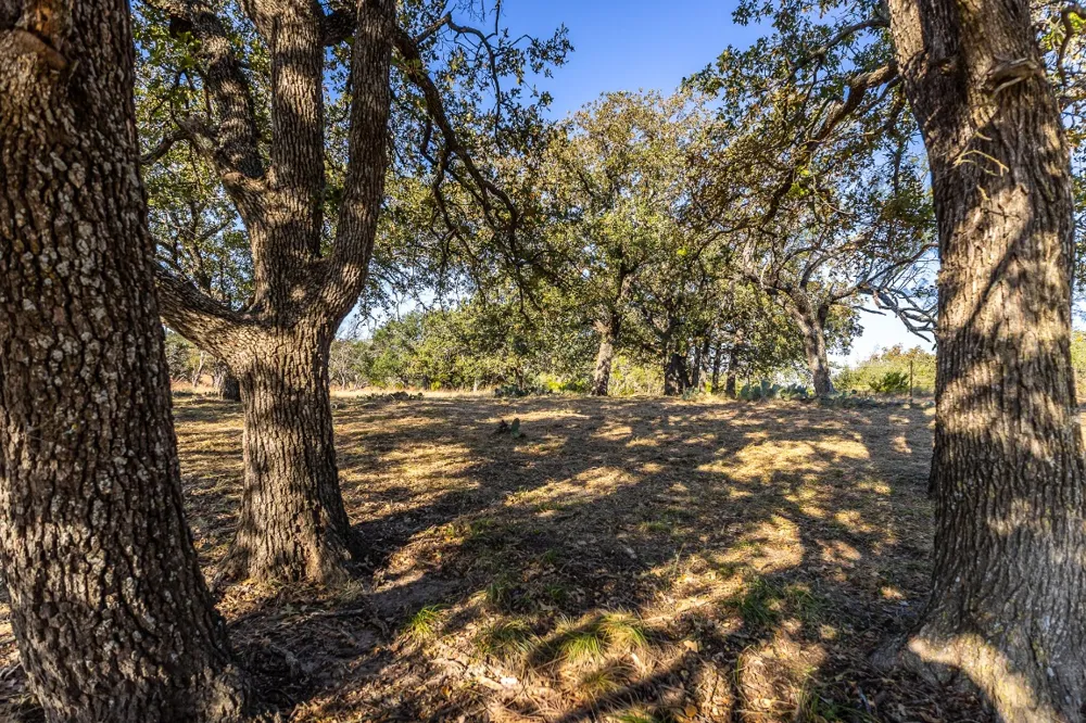 1260 County Road 2001 Lampasas, TX 76550