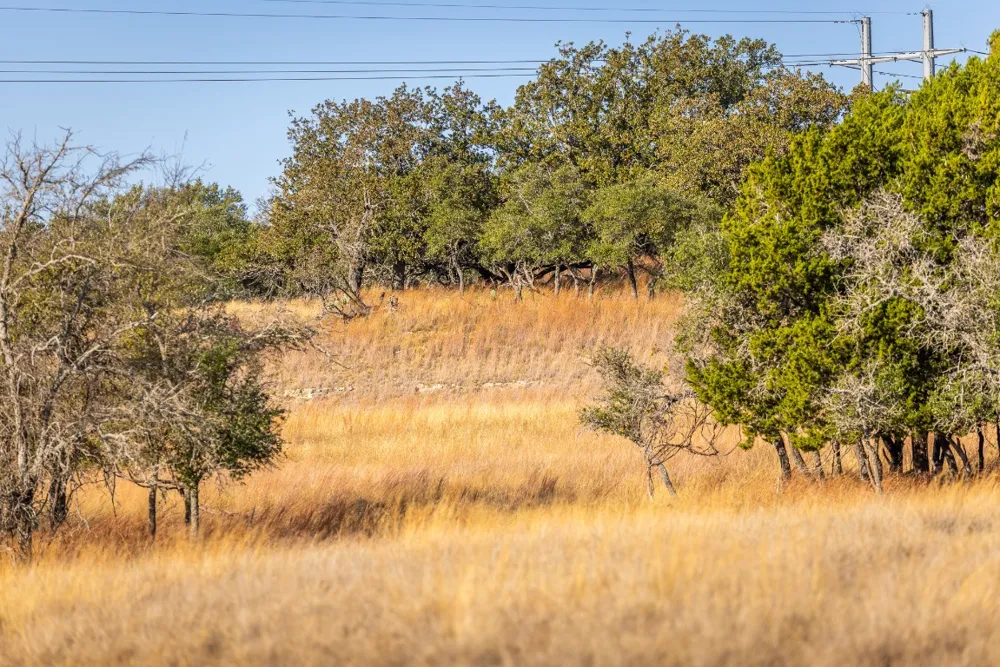 1260 County Road 2001 Lampasas, TX 76550