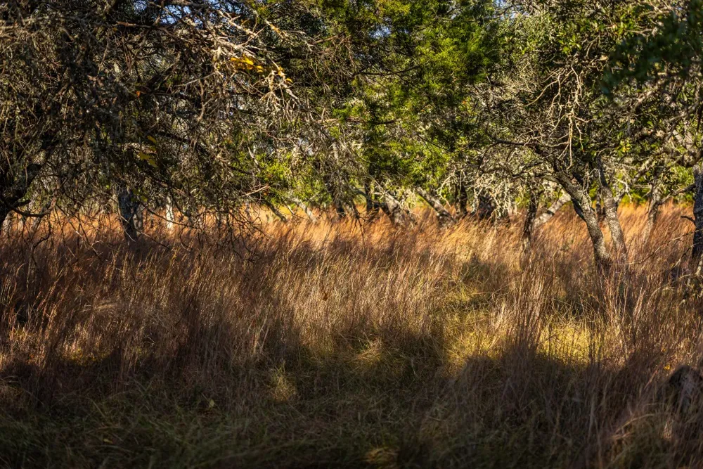 1260 County Road 2001 Lampasas, TX 76550