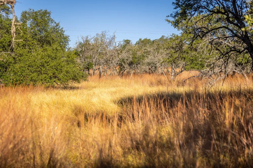 1260 County Road 2001 Lampasas, TX 76550