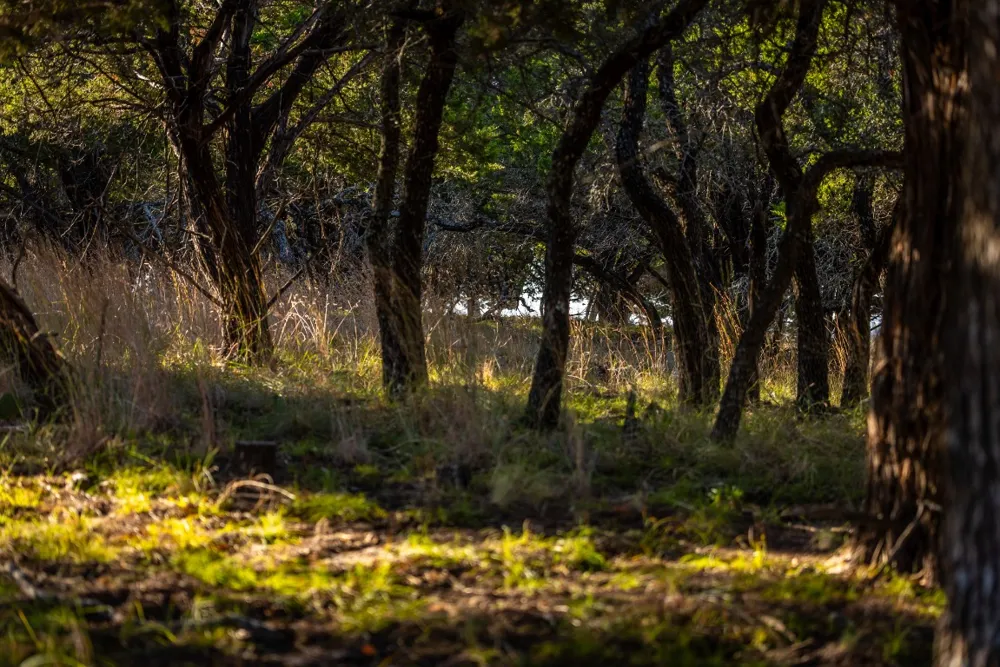 1260 County Road 2001 Lampasas, TX 76550