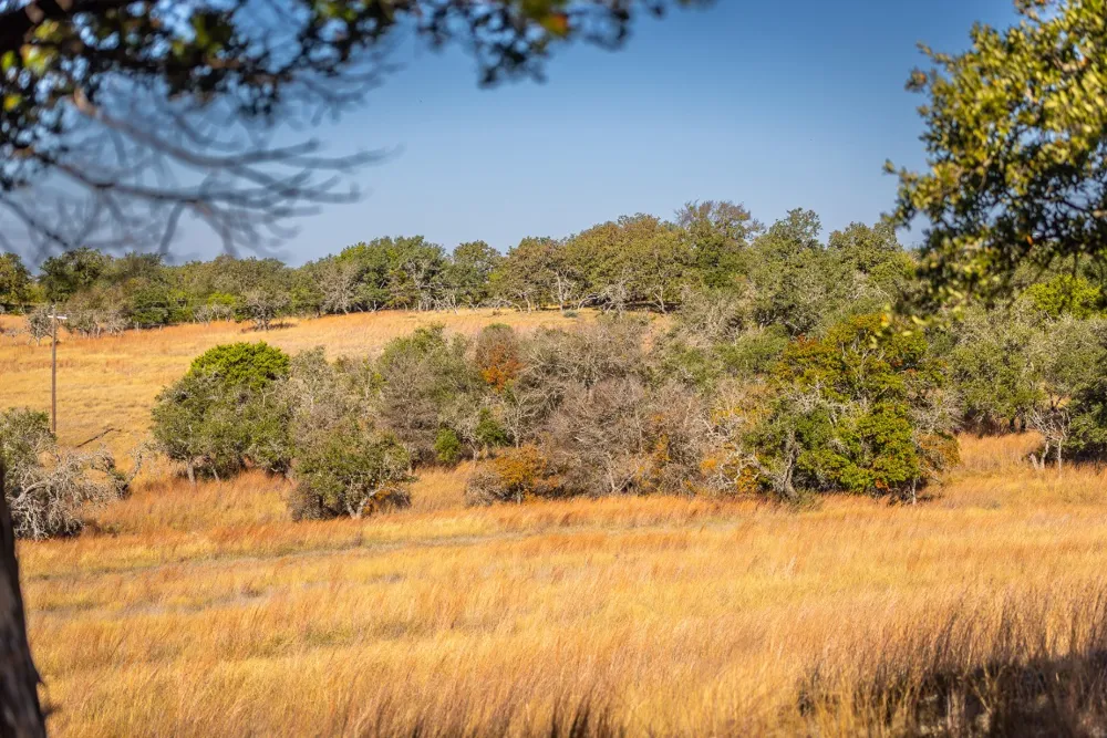 1260 County Road 2001 Lampasas, TX 76550