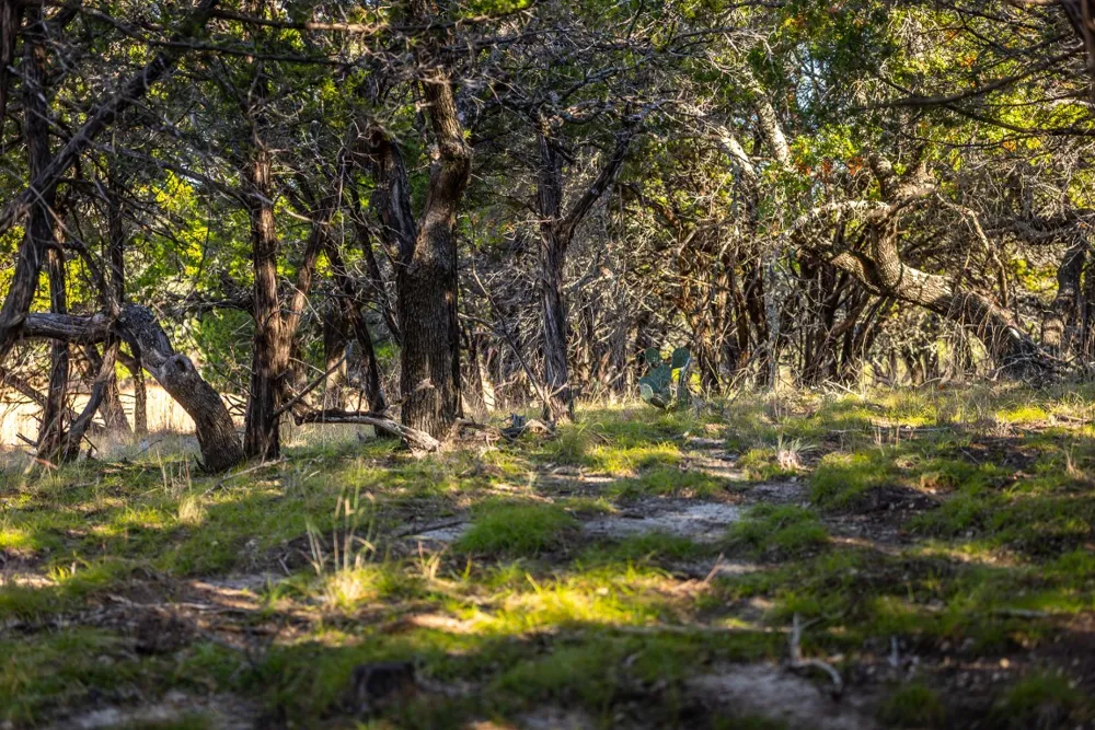 1260 County Road 2001 Lampasas, TX 76550