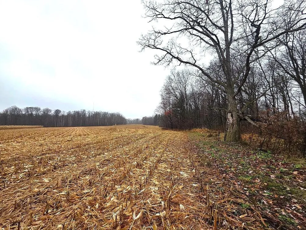 1141 12th Ave. Barron, WI 54812