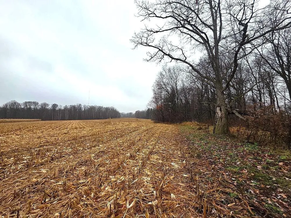 1141 12th Ave. Barron, WI 54812