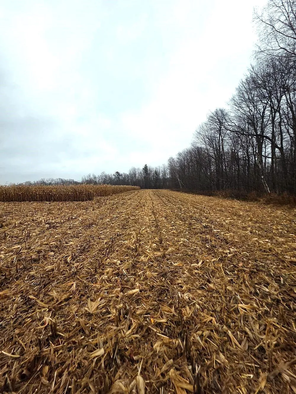 1141 12th Ave. Barron, WI 54812