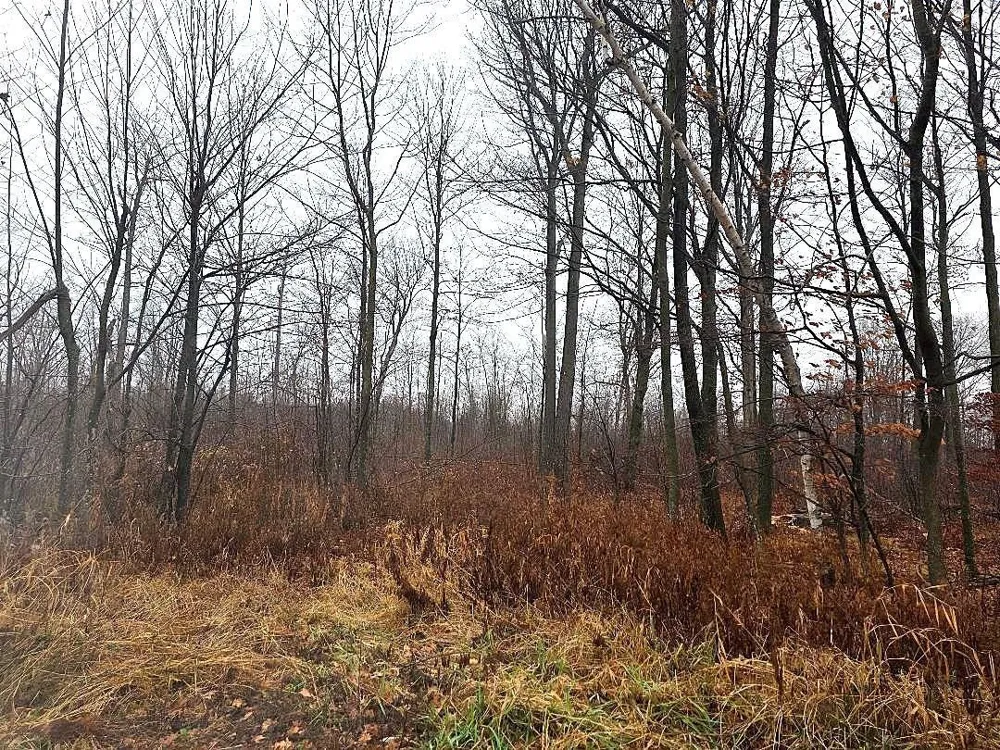 1141 12th Ave. Barron, WI 54812