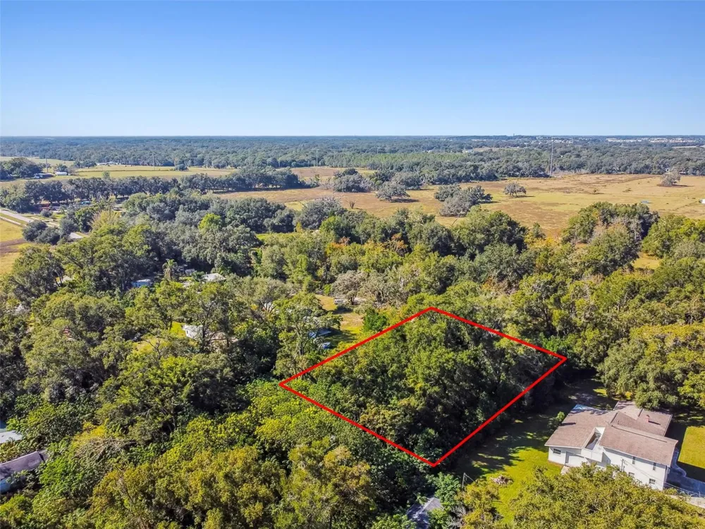 8408 RICHLAND SCHOOL ROAD Zephyrhills, FL 33540