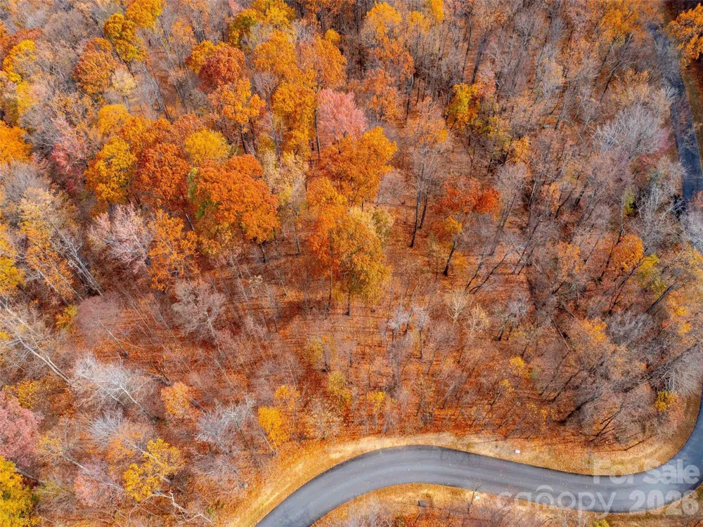 Lot 2110 Harm Creek Loop Mill Spring, NC 28756
