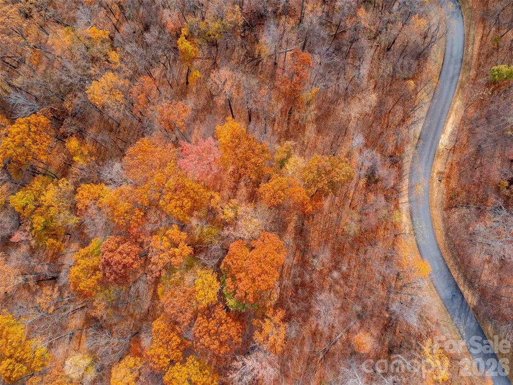Lot 2110 Harm Creek Loop Mill Spring, NC 28756