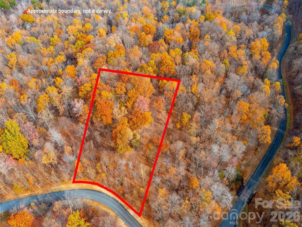 Lot 2110 Harm Creek Loop Mill Spring, NC 28756
