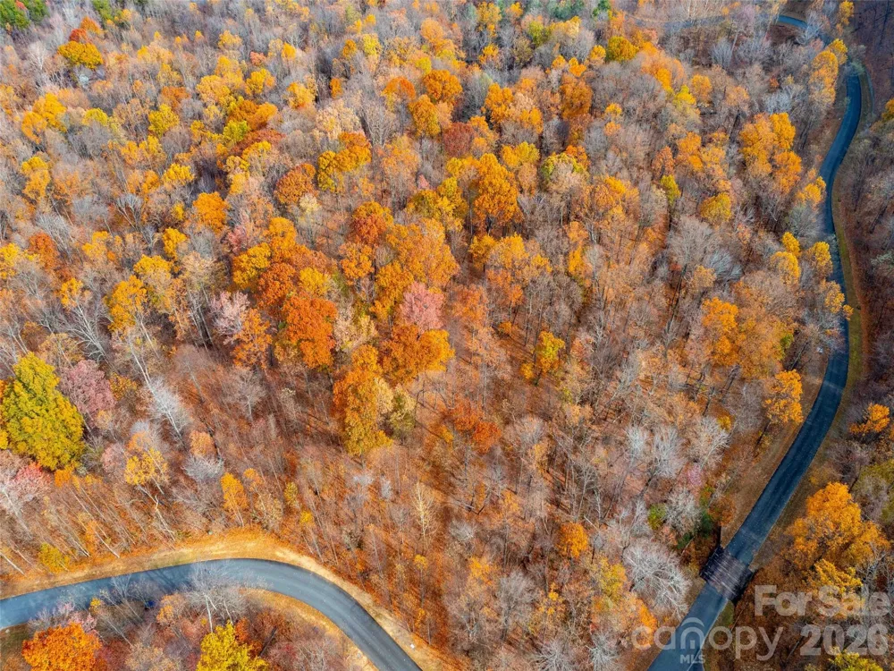 Lot 2110 Harm Creek Loop Mill Spring, NC 28756
