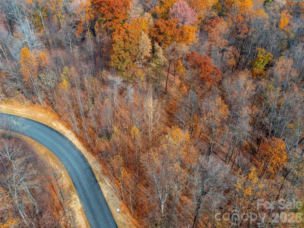 Lot 2110 Harm Creek Loop Mill Spring, NC 28756