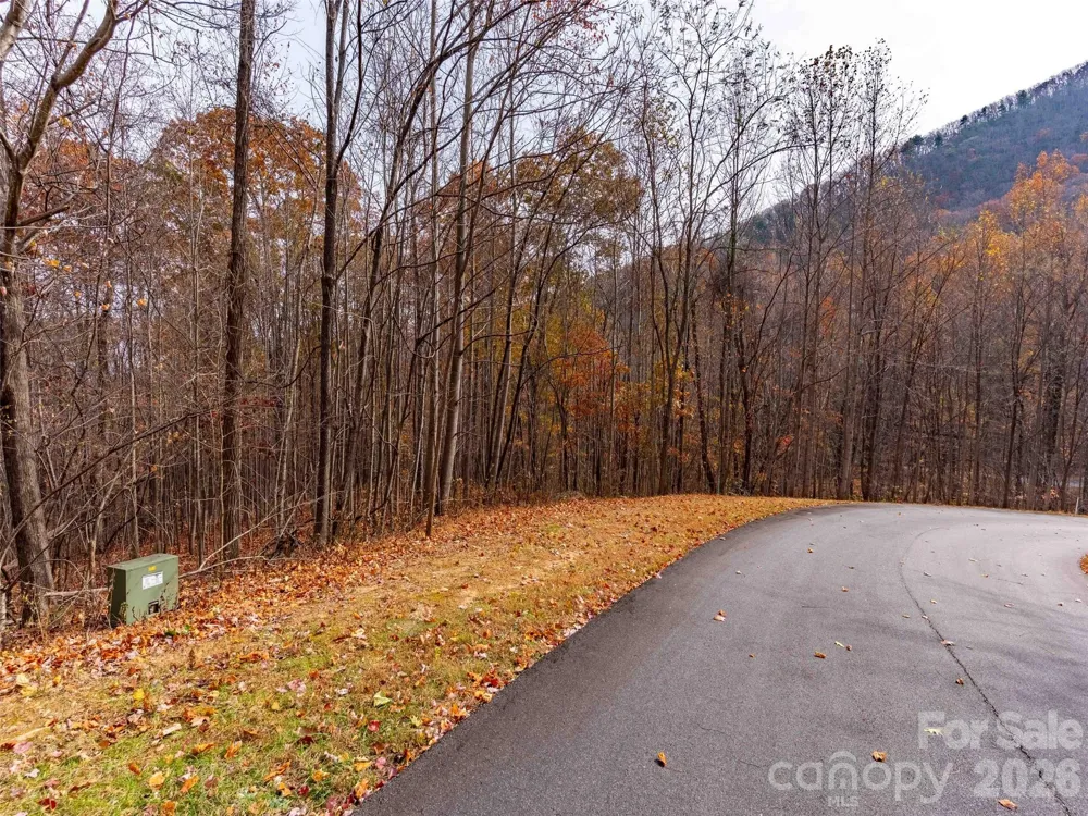Lot 2110 Harm Creek Loop Mill Spring, NC 28756