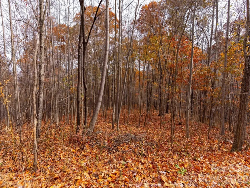 Lot 2110 Harm Creek Loop Mill Spring, NC 28756