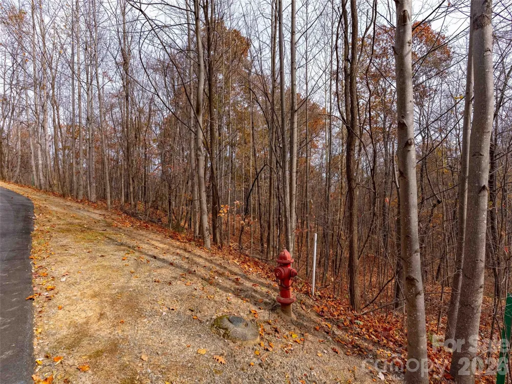 Lot 2110 Harm Creek Loop Mill Spring, NC 28756