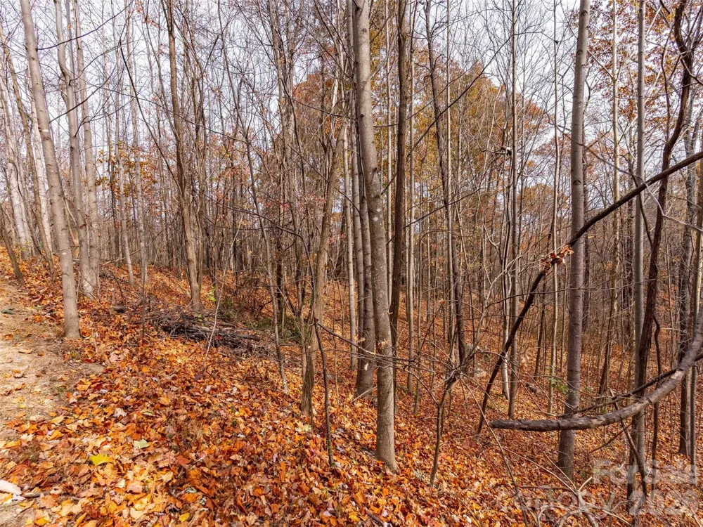Lot 2110 Harm Creek Loop Mill Spring, NC 28756