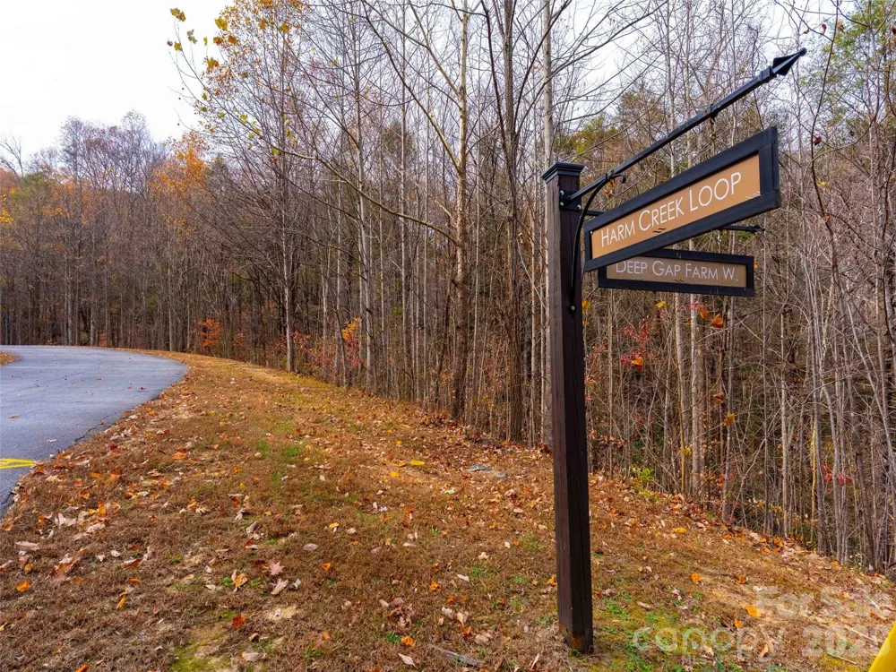 Lot 2110 Harm Creek Loop Mill Spring, NC 28756