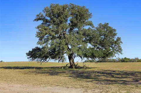 Stockade Ranch Road