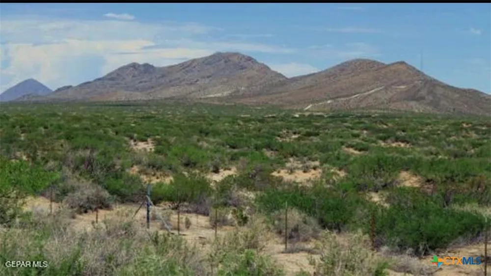 TBD Sierra Blanca, TX 78951