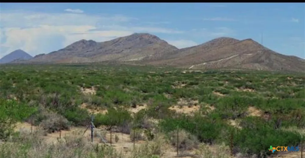 TBD Sierra Blanca, TX 78951