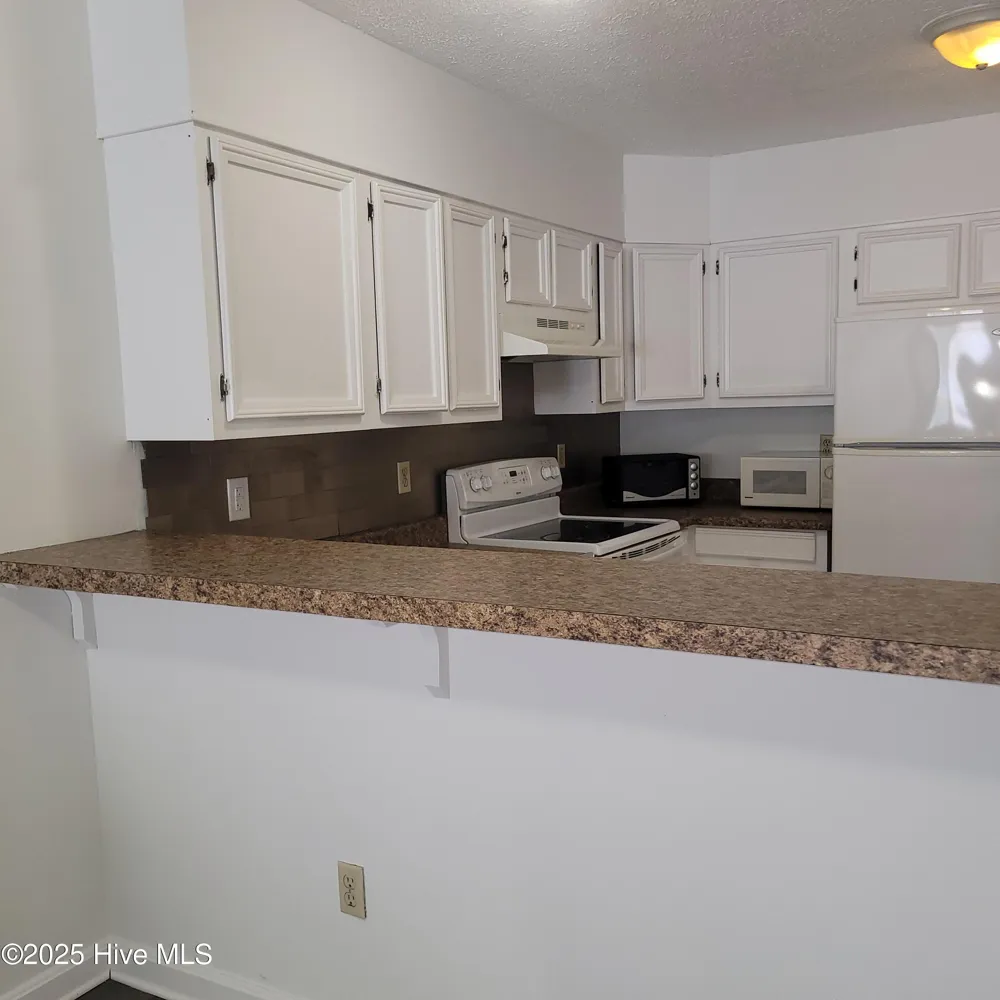 313 Lake Place Condo Drive Elizabethtown, NC 28337