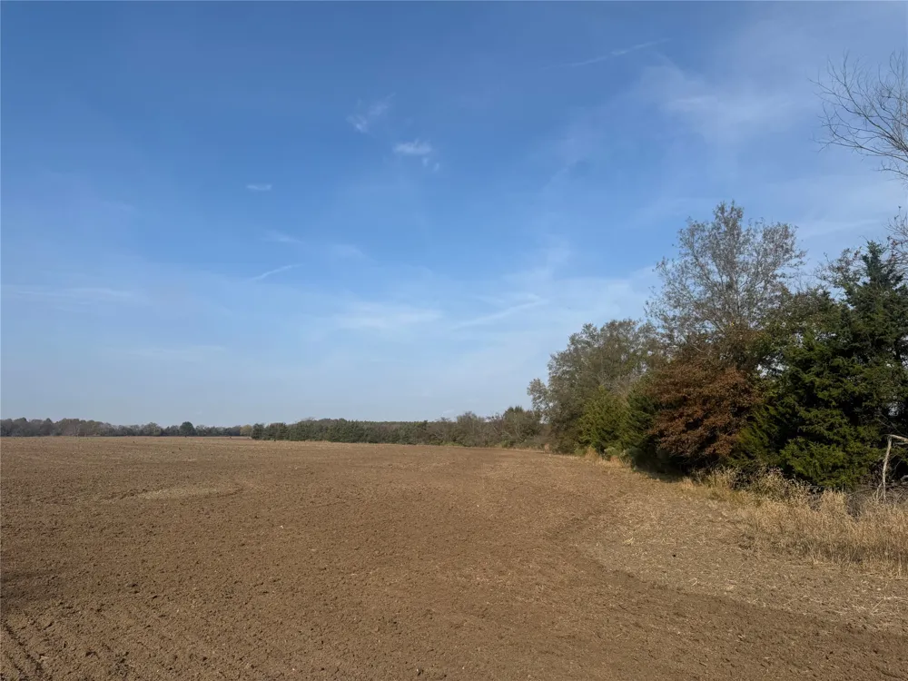 FM 44 Annona, TX 75550