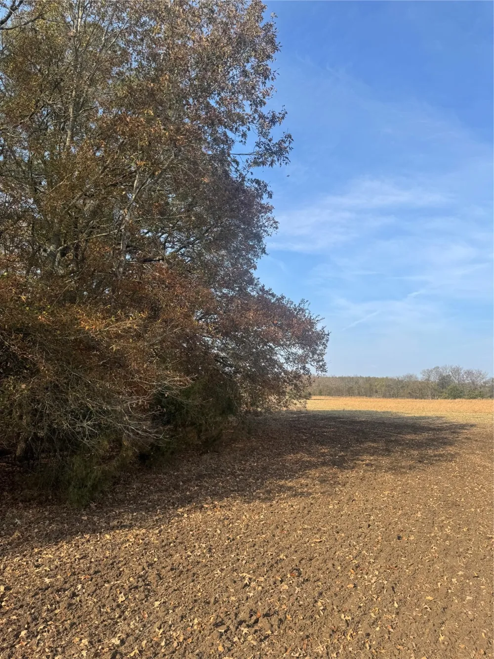 FM 44 Annona, TX 75550
