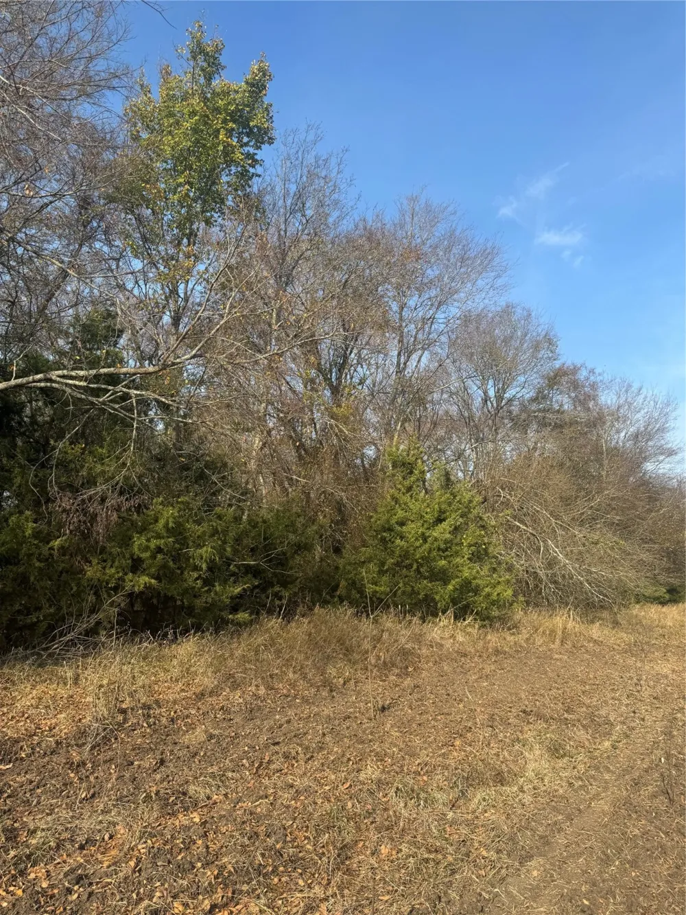 FM 44 Annona, TX 75550