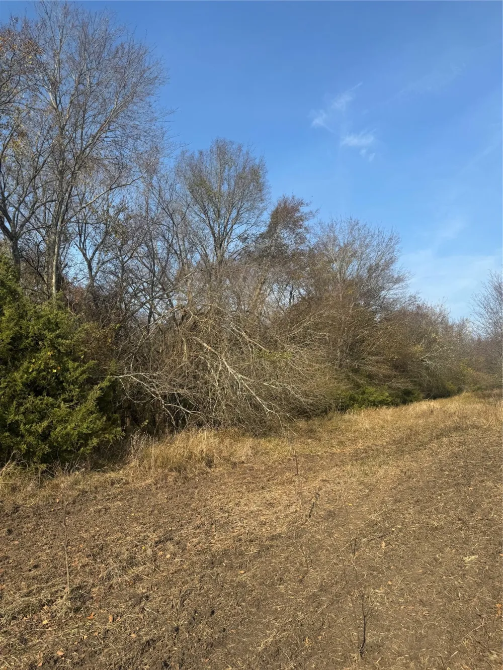 FM 44 Annona, TX 75550