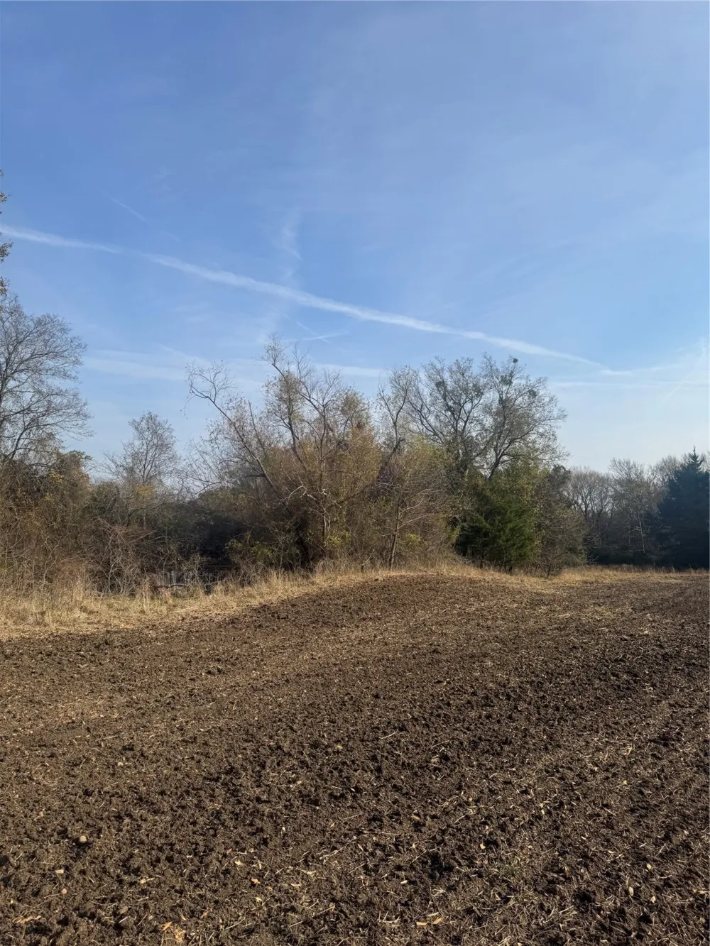 FM 44 Annona, TX 75550