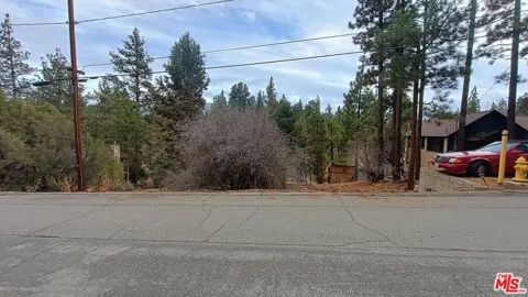 384 Cinderella Drive