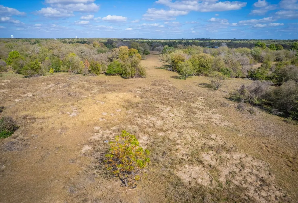 Armadillo Lane Bastrop, TX 78602